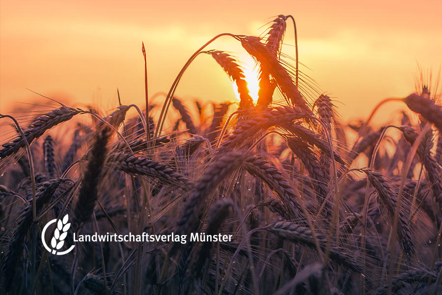 Logo von Scheer Kunde Landwirtschaftsverlag